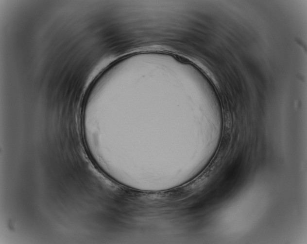 X0000094771054200712141553