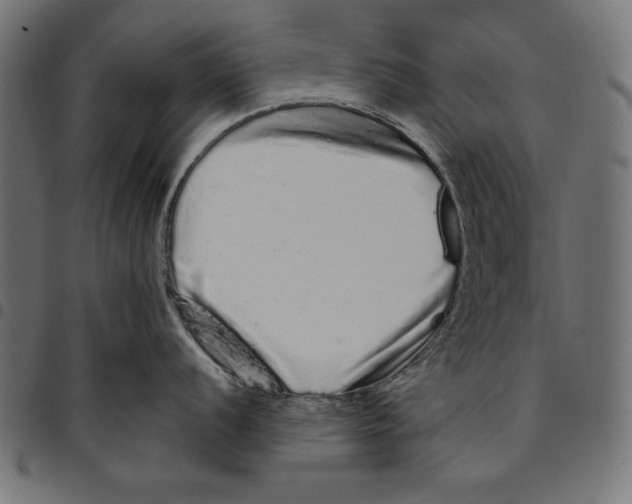 X0000094771056200712141553