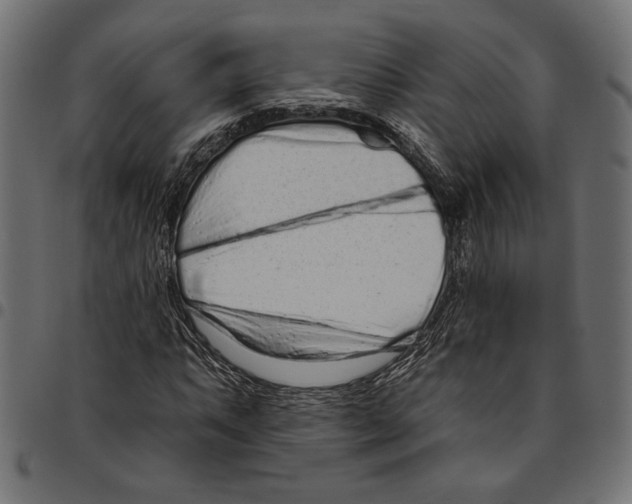 X0000094771063200712141553