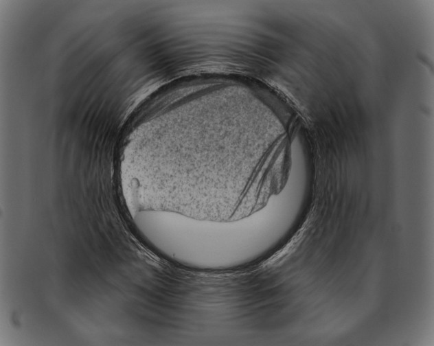 X0000094771065200712141553