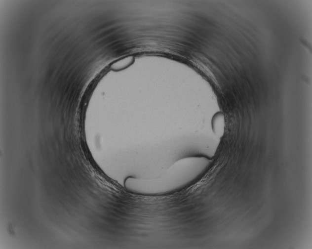 X0000094771068200712141553