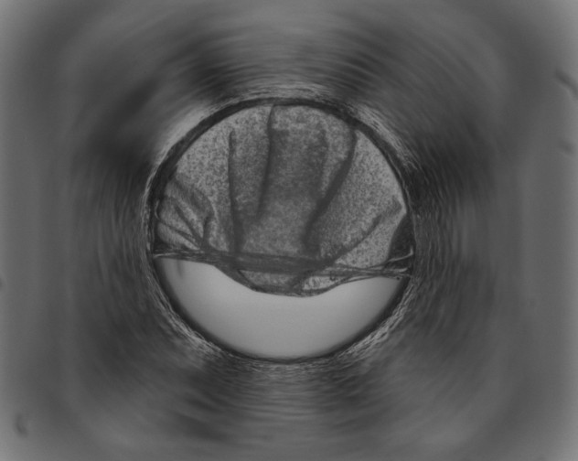 X0000094771071200712141553