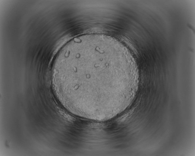 X0000094771075200712141553