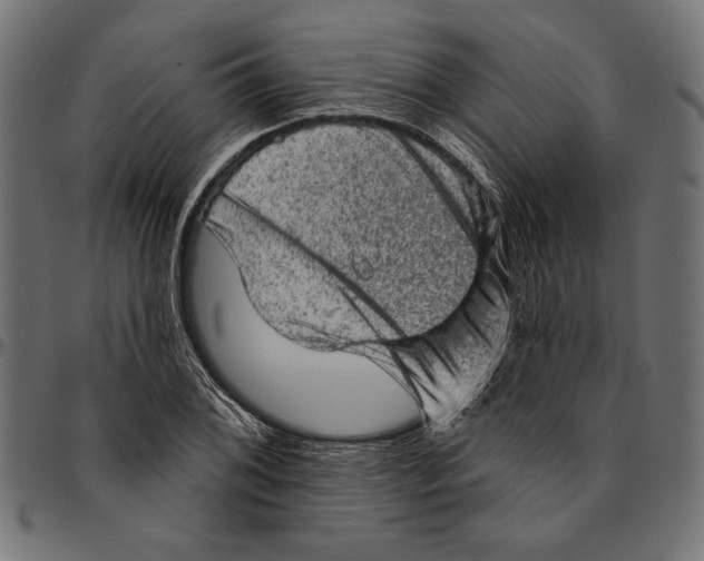 X0000094771076200712141553