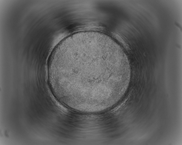 X0000094771079200712141552