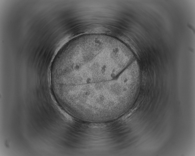 X0000094771083200712141552