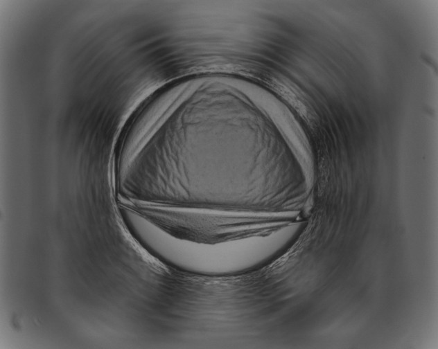 X0000094771084200712141552