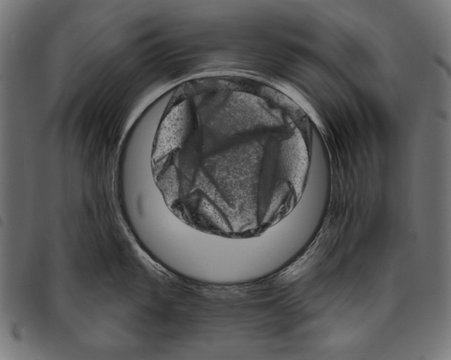 X0000094771101200712141552