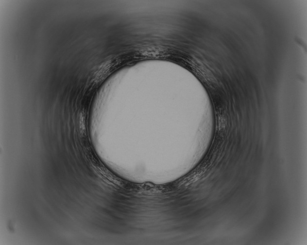 X0000094771106200712141551