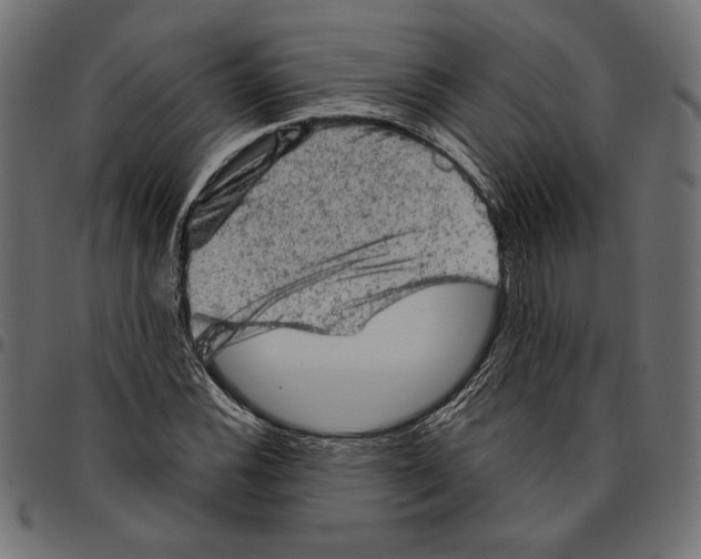 X0000094771116200712141552