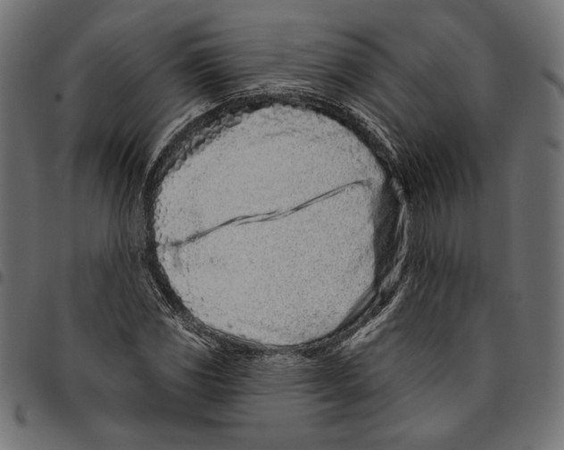 X0000094771117200712141552