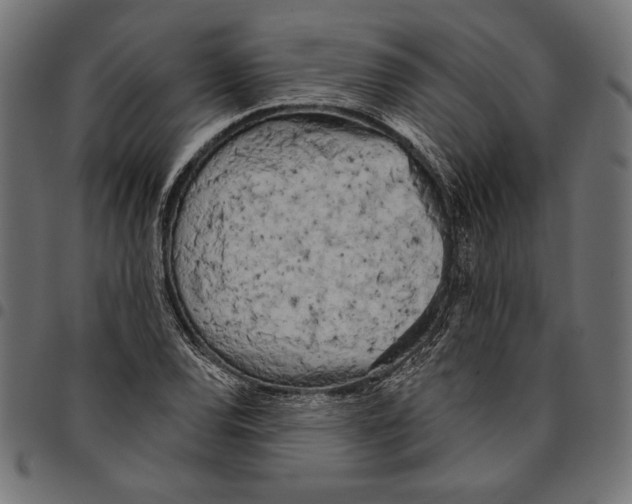 X0000094771120200712141552