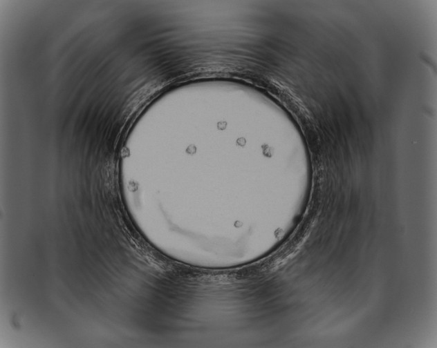 X0000094771121200712141552