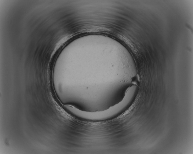 X0000094771122200712141552