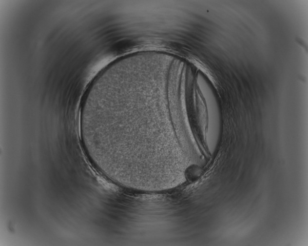 X0000094771127200712141552