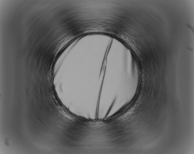 X0000094771129200712141552