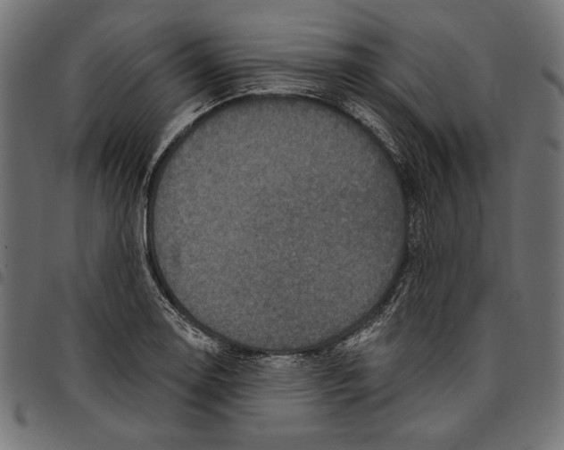 X0000094771130200712141552