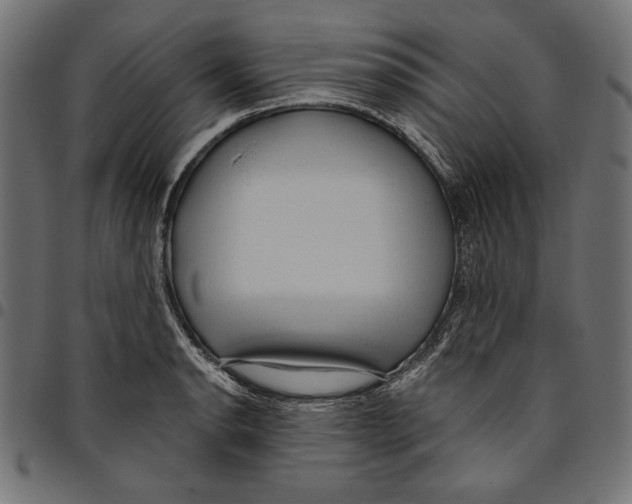 X0000094771134200712141552