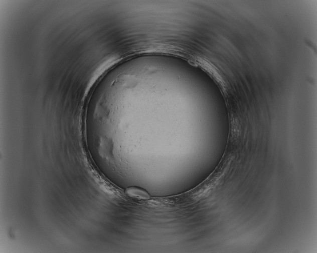 X0000094771138200712141552