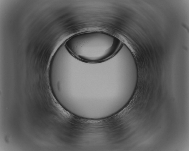 X0000094771140200712141552