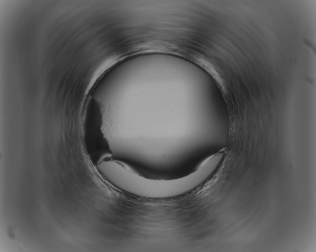 X0000094771146200712141552