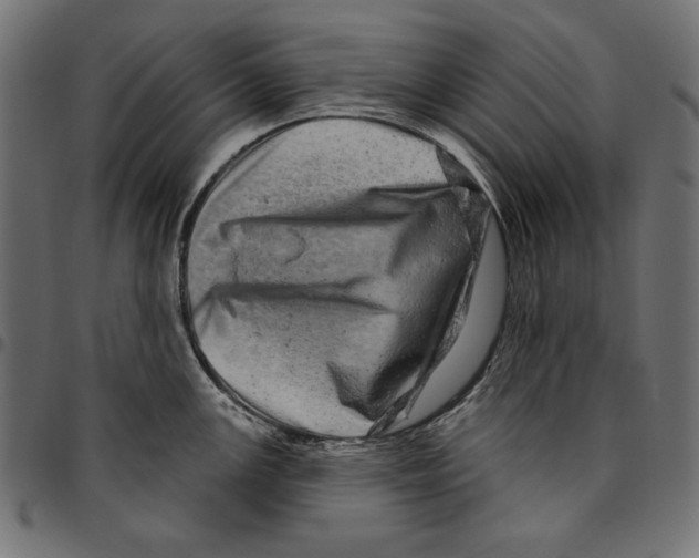 X0000094771147200712141552