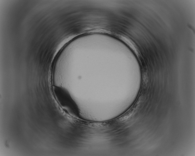 X0000094771149200712141552