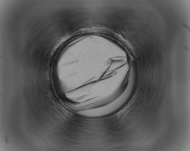 X0000094771166200712141551