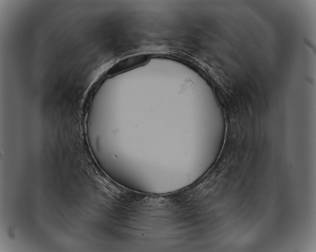 X0000094771168200712141551