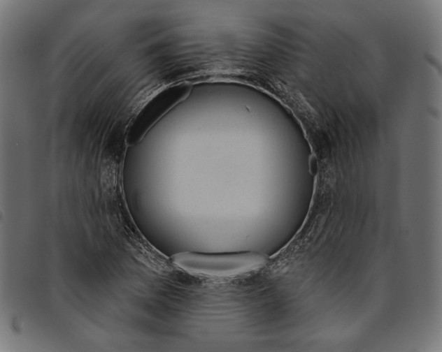 X0000094771169200712141551