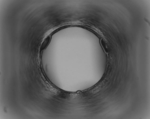 X0000094771176200712141551