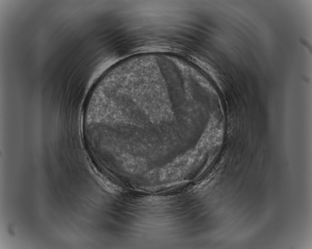 X0000094771179200712141551