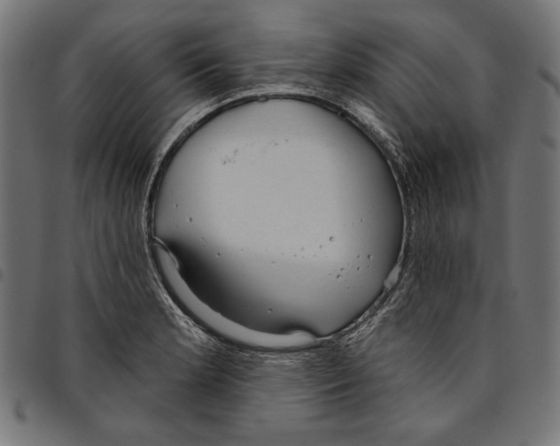 X0000094771181200712141551