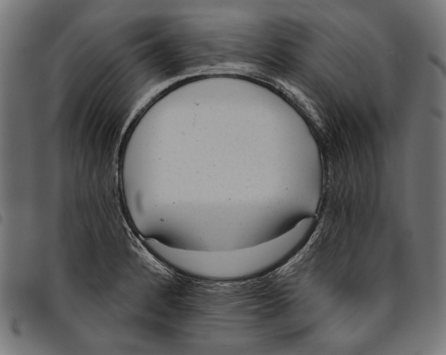 X0000094771184200712141551