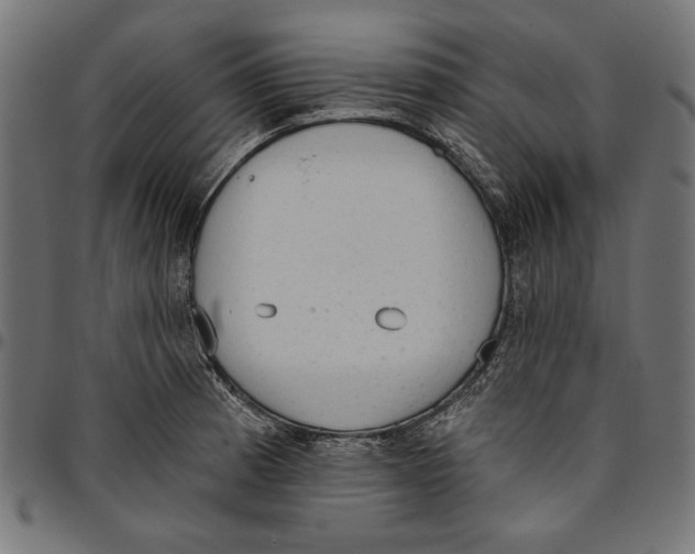 X0000094771185200712141551