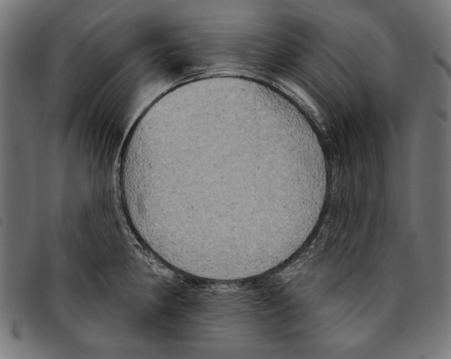 X0000094771190200712141551