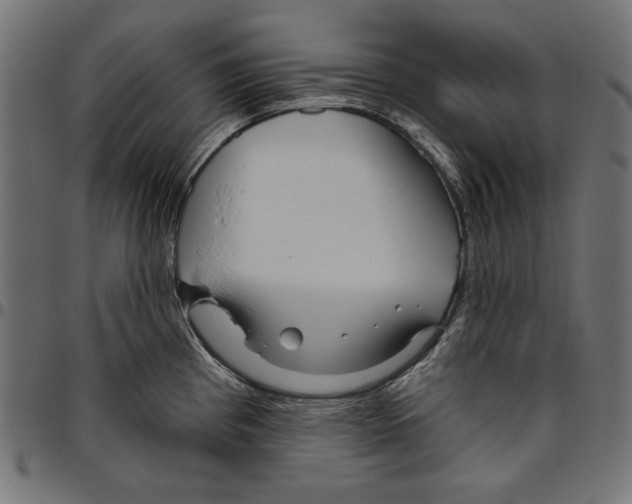 X0000094771193200712141551