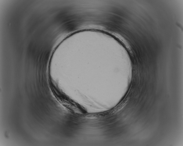 X0000094771199200712141551