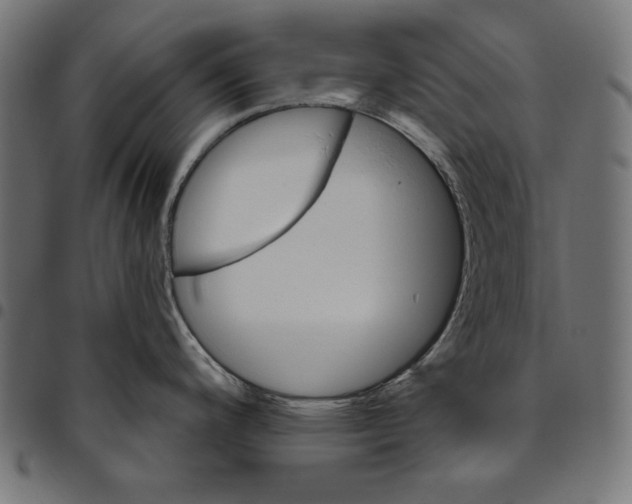 X0000094771200200712141551