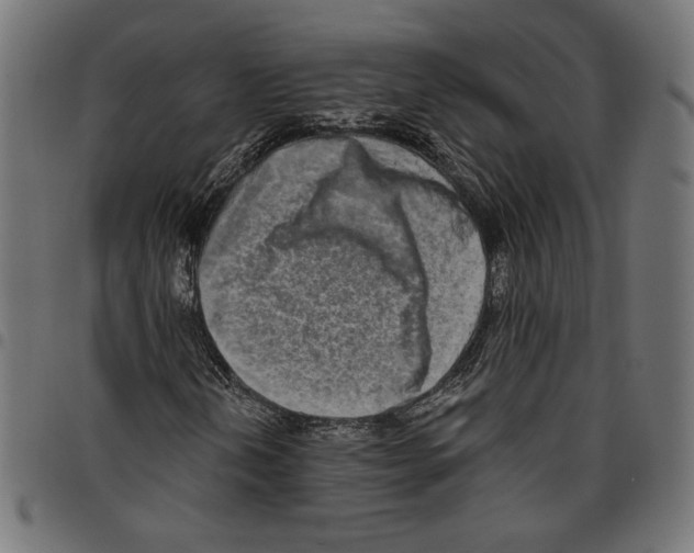 X0000094771202200712141550