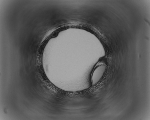 X0000094771208200712141550