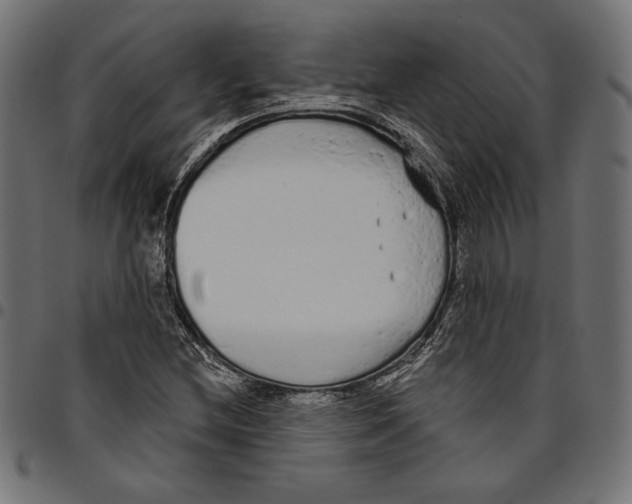 X0000094771212200712141550