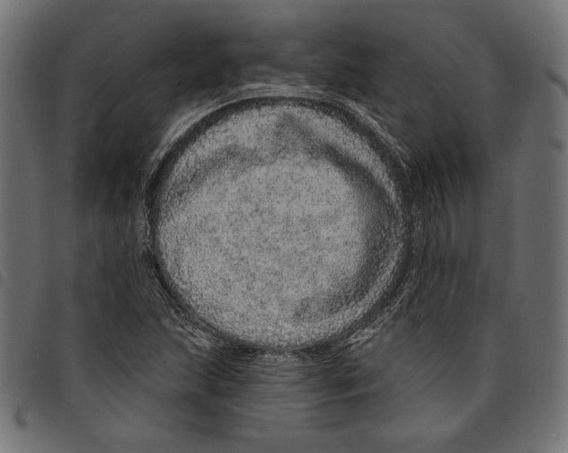 X0000094771215200712141550