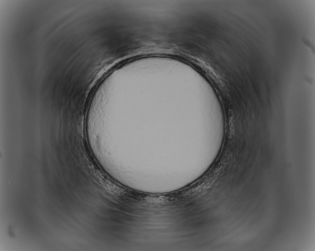 X0000094771220200712141550