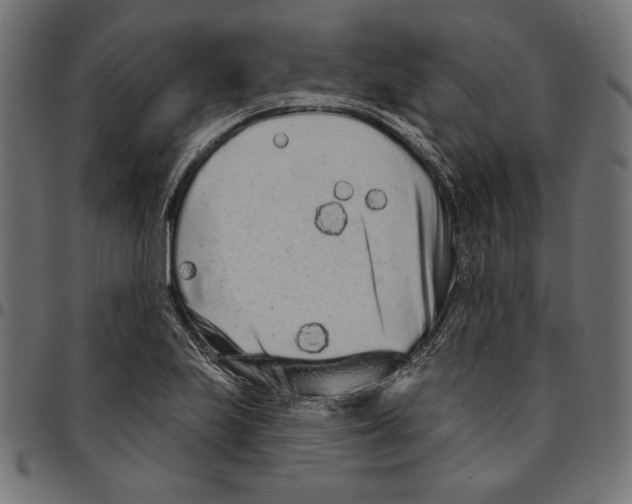 X0000094771223200712141550