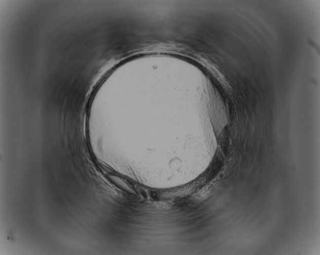 X0000094771224200712141550