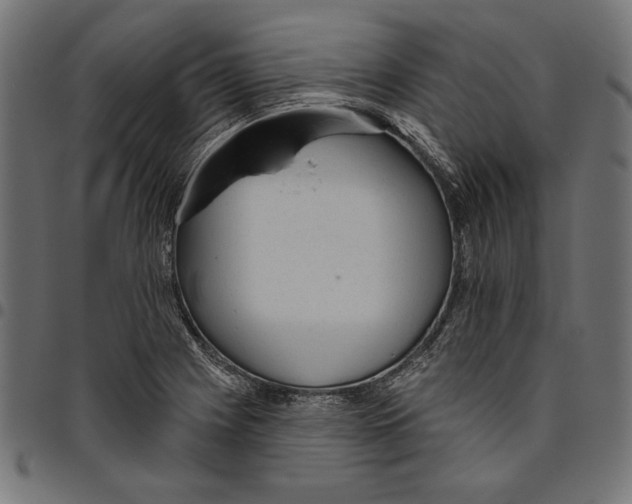 X0000094771225200712141550