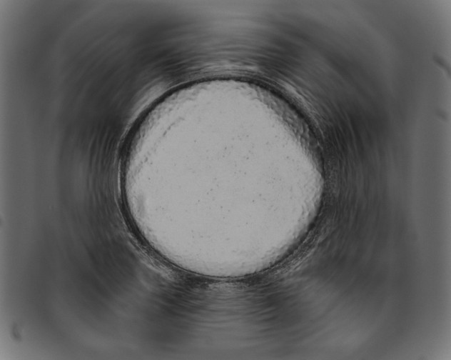 X0000094771227200712141551