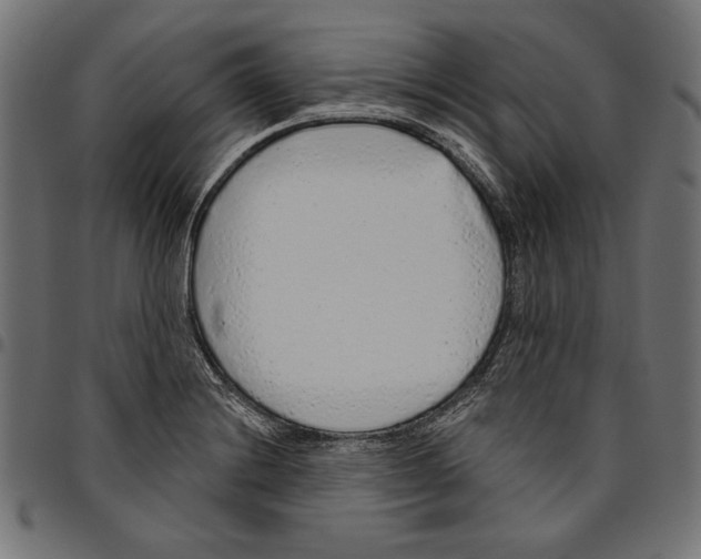 X0000094771228200712141551