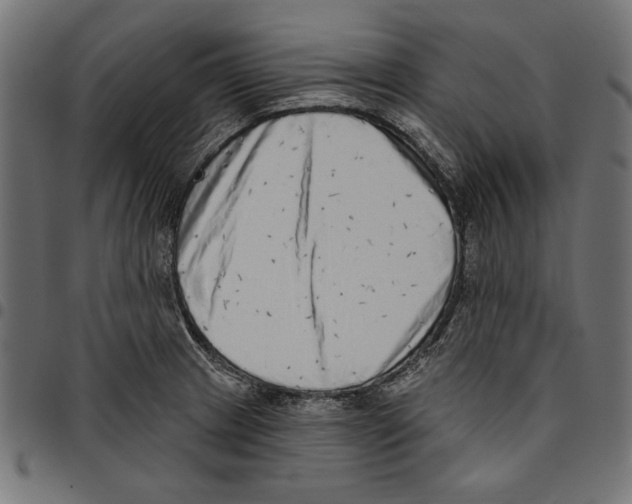 X0000094771233200712141551